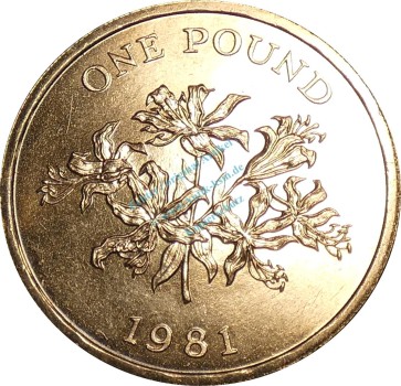 Preview: Guernsey , 1 Pound Münze 1981 -Guernsey Lily- KM.39 ss-vz -0310- ss - vz