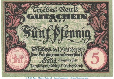 Notgeld Gemeinde Triebes , 5 Pfennig Schein in kfr. Tieste 7450.05.25 von 1919 , Thüringen Verkehrsausgabe