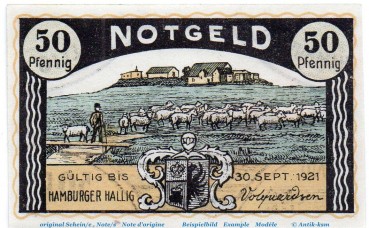 Notgeld Hamburger Hallig gelbbraun 564.1.a , 50 Pfennig Schein in kfr. o.D. Schleswig Holstein Seriennotgeld