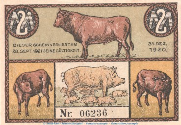 Preview: Notgeld Viehhandlung Vogt Süderbrarup 1297.1  , 2 Mark Schein in kfr. von 1920 , Schleswig Holstein Seriennotgeld