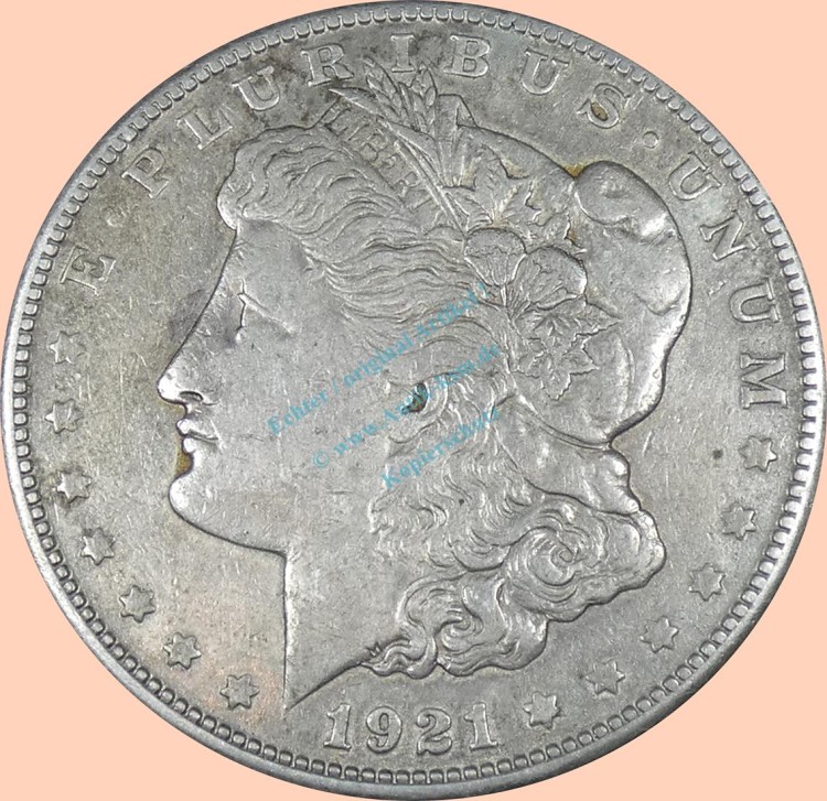 USA , 1 Dollar 1921 -Morgan Dollar- , Km.110 ss. -0312-