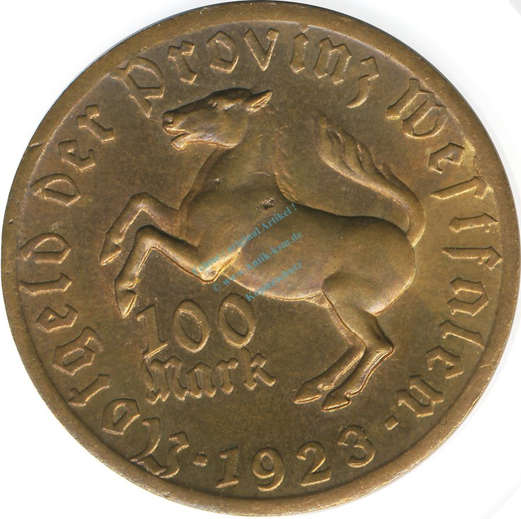 Münster , Notgeld Münze 100 Mark -Droste-Hülshoff- ss-vz. Westfalen 1923 Inflation 0079